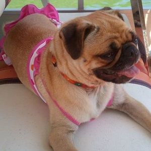 Meet your Posher, Karen